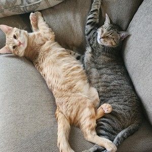 Meet your Posher, Terri